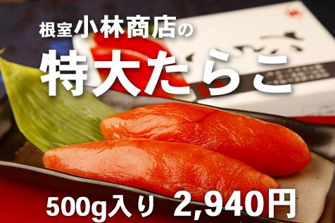 ���Ӿ�Ź���礿�餳