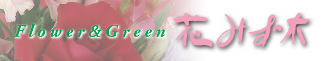 hanamizuki-banar2.jpg