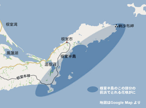 根室前浜産浜ゆで花咲がに